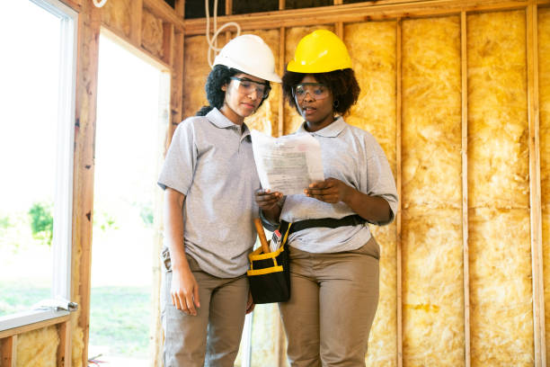 Best Best Insulation Companies  in Pine Island, MN